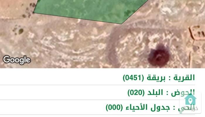 16784669250190