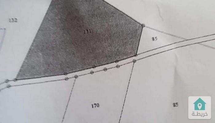 16784526393830