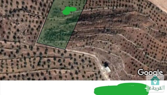 16784495496190