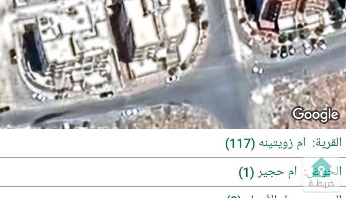 16787348812130