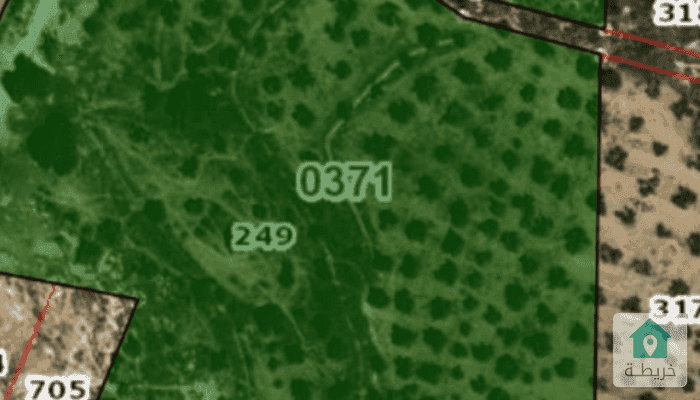 16797664763060
