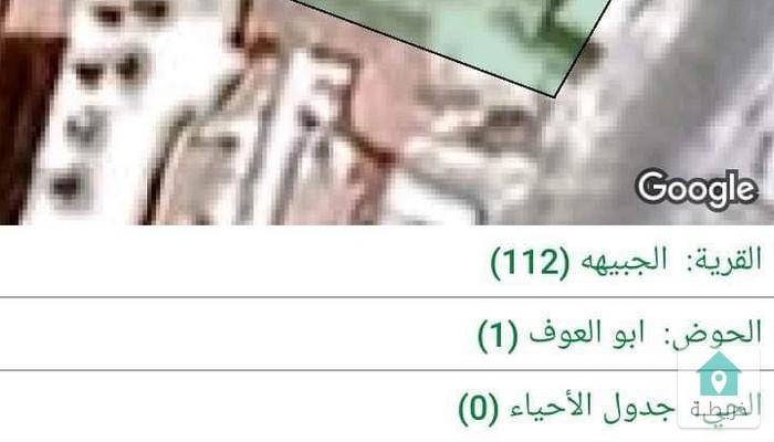 16797410849720