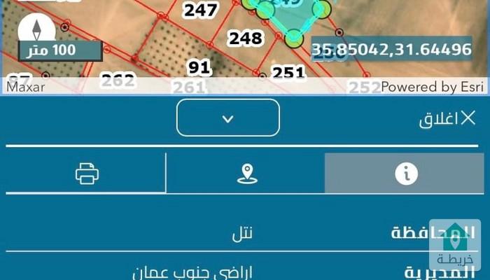 16815614558890