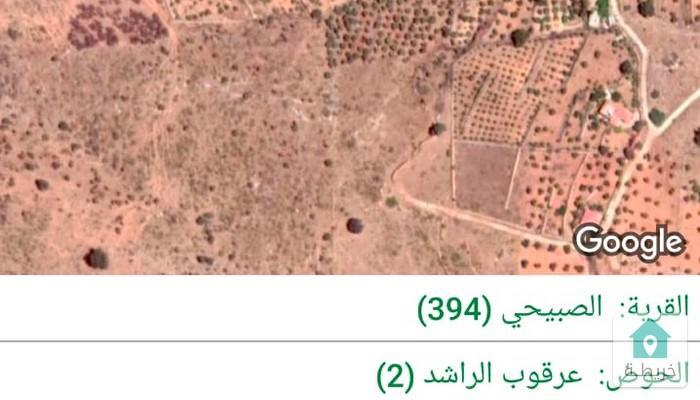 16826259145730