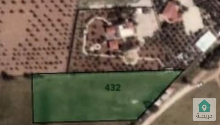 16839672247650