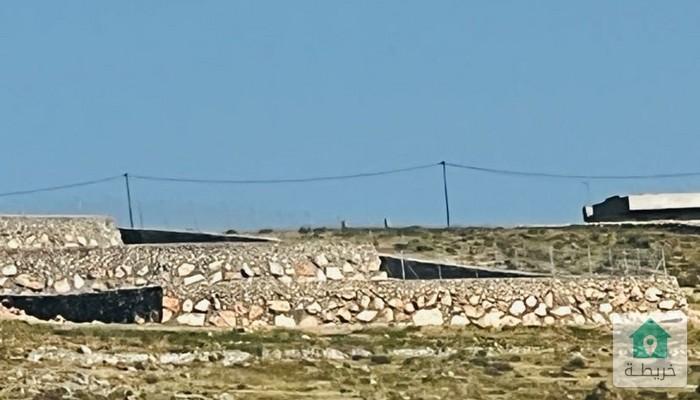 17249556730330