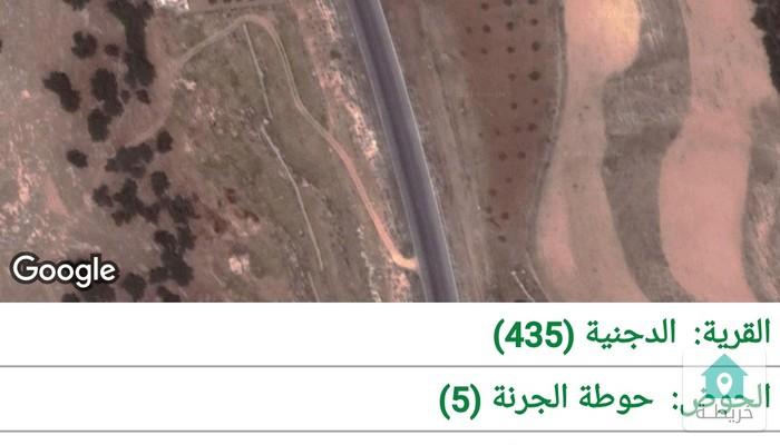 17250917833800