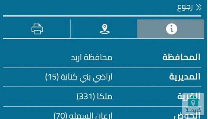 17356804816990