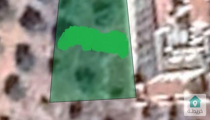 16963335820530