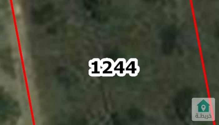 17371203936530