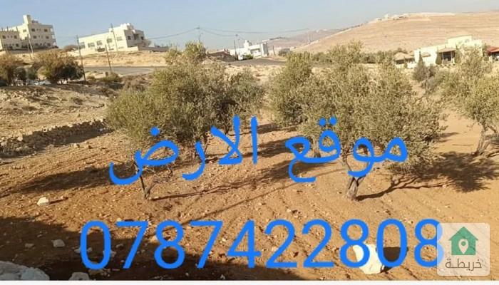 17373020377360