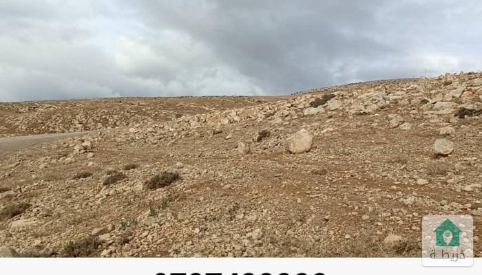 17376160246260