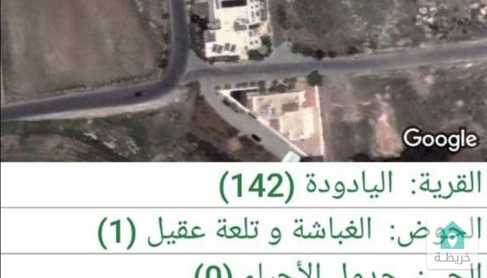 17382601842270