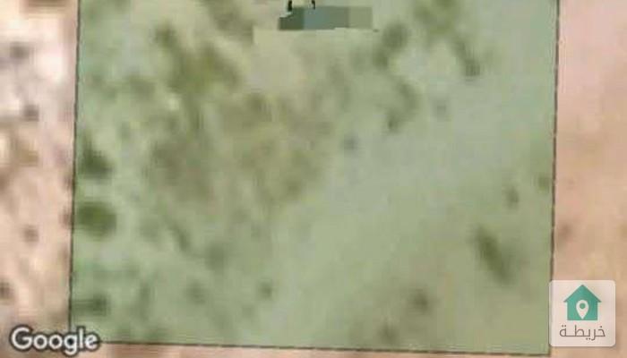 17395582218590
