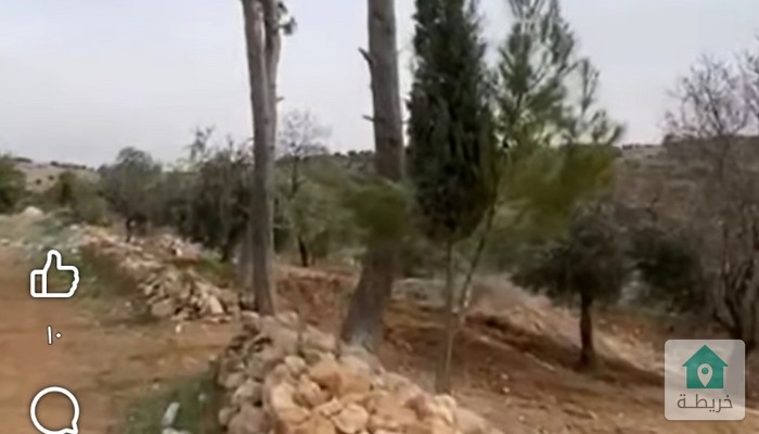 17415680179560