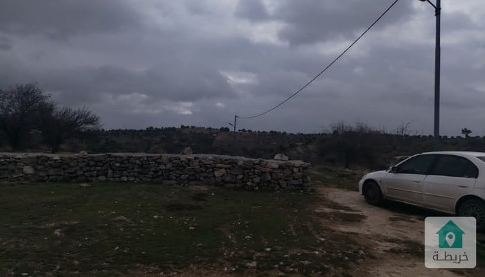 17415683543520
