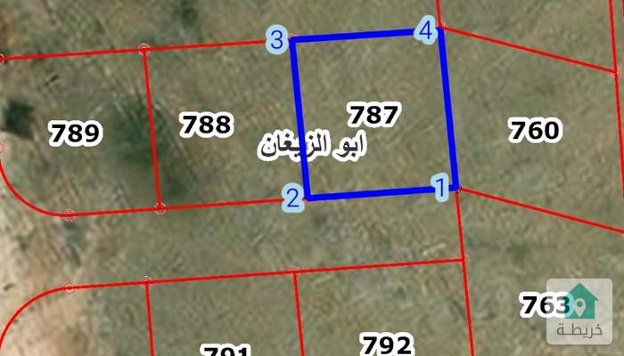 17417666528410
