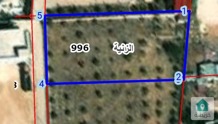 17424065863570