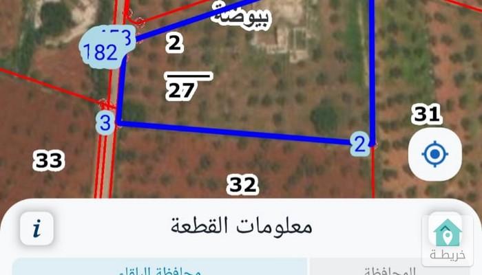 17472983242050