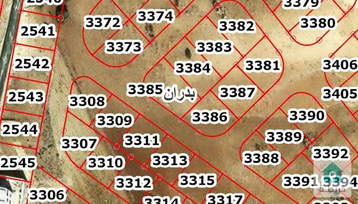 17338244522950