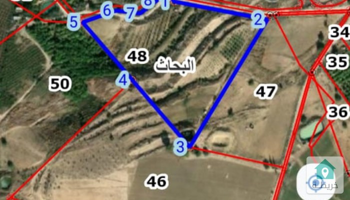 17479413978010