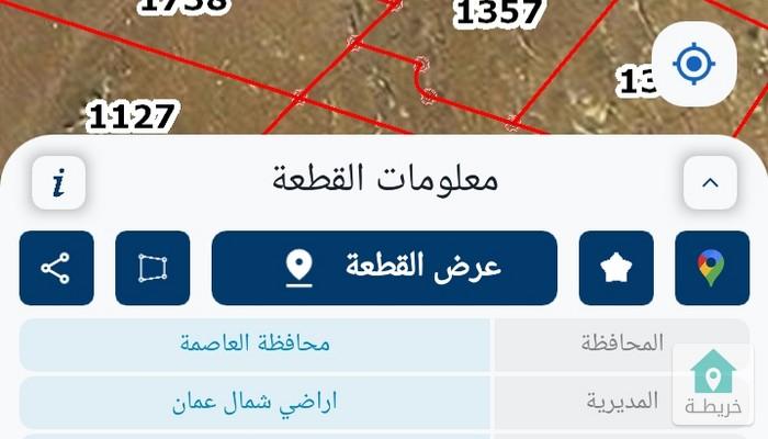 17500659789941