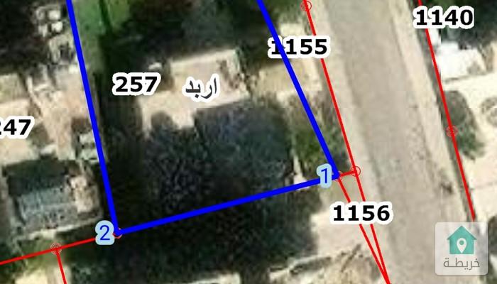 17502809428024