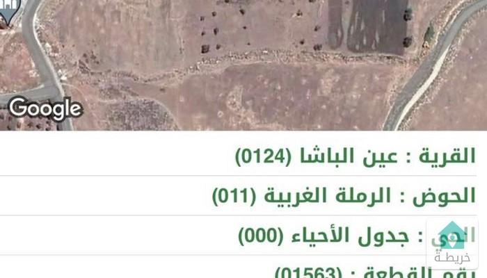 17525907206210