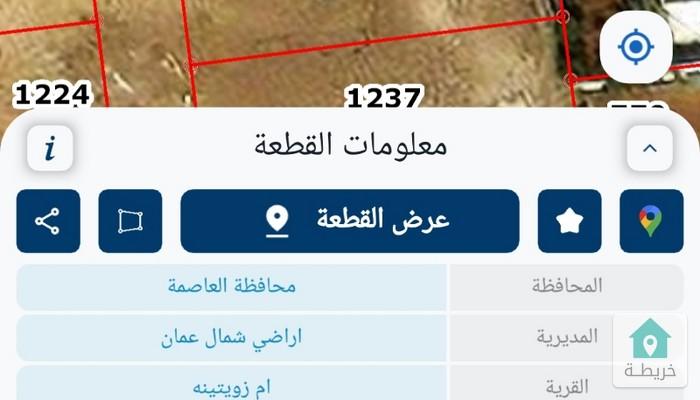 17532944288880