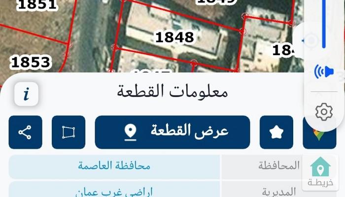 17535664160840