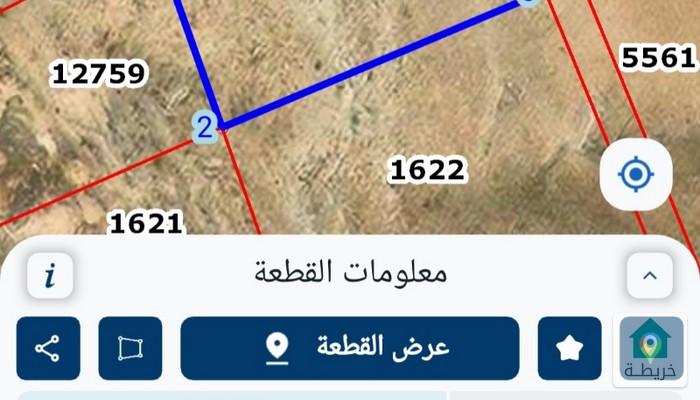 17539426509640