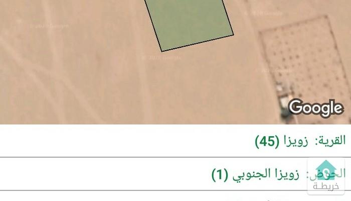 17543003939250