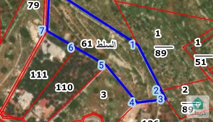 17545087600430