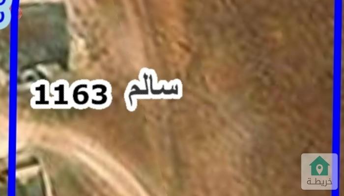 17546660604440