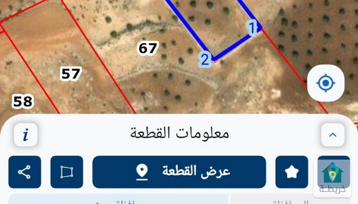 17549799375440
