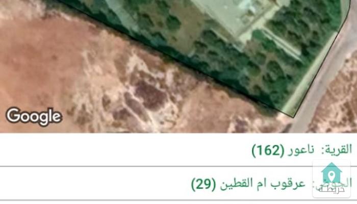 17550098207030