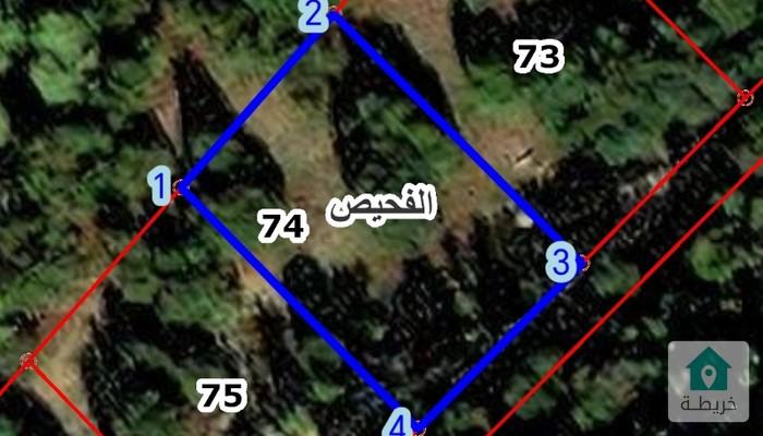 17553364023400