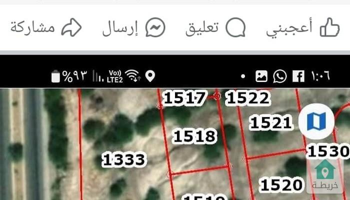 17553536612431