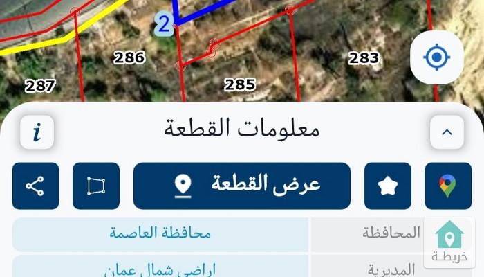 17565628299160