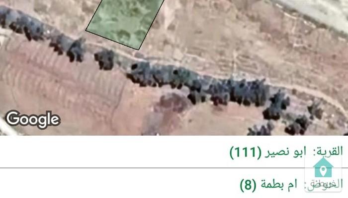 17592427573100
