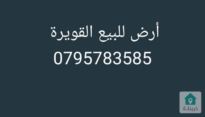 17595697545350