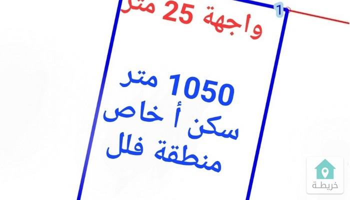 17603499314892