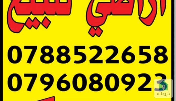 17611391746240
