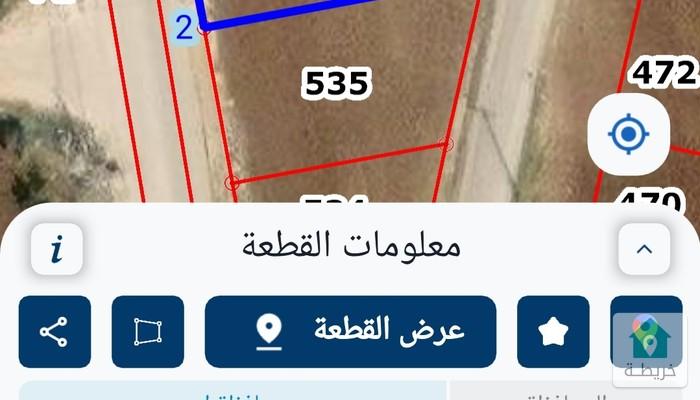 17819484785590