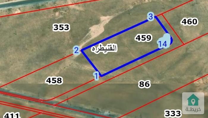 17825918091650