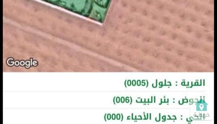 17838089192491