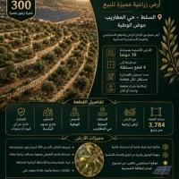 1780847552051
