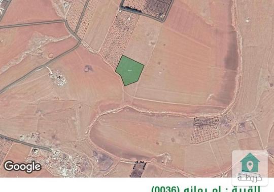 ارض ١٦ دونم في ام رمانة ‪)‬اراضي جنوب عمان ‪(‬ حوض ظهرة حرب ‪-‬ زراعي‪ للبيع 