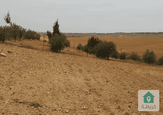ارض زراعية للبيع في مادبا 